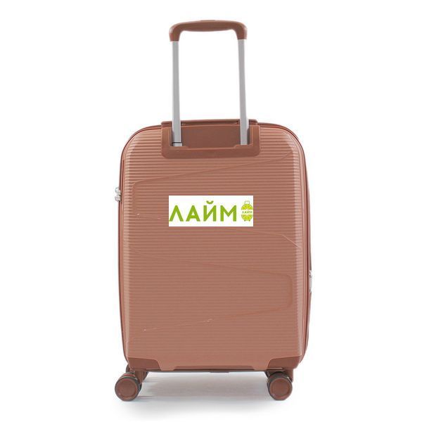 Чемодан малый S полипропилен пудра 55х37х23+5/48л/2.9кг/Worldline 293 293-20 gold фото