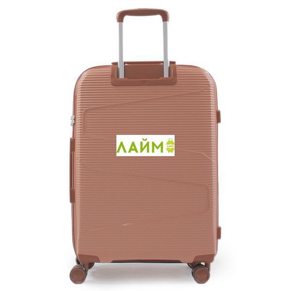 Валіза середня М поліпропілен пудра 66х44х28+5/80л/3.6кг/Worldline 293 293-24 gold фото